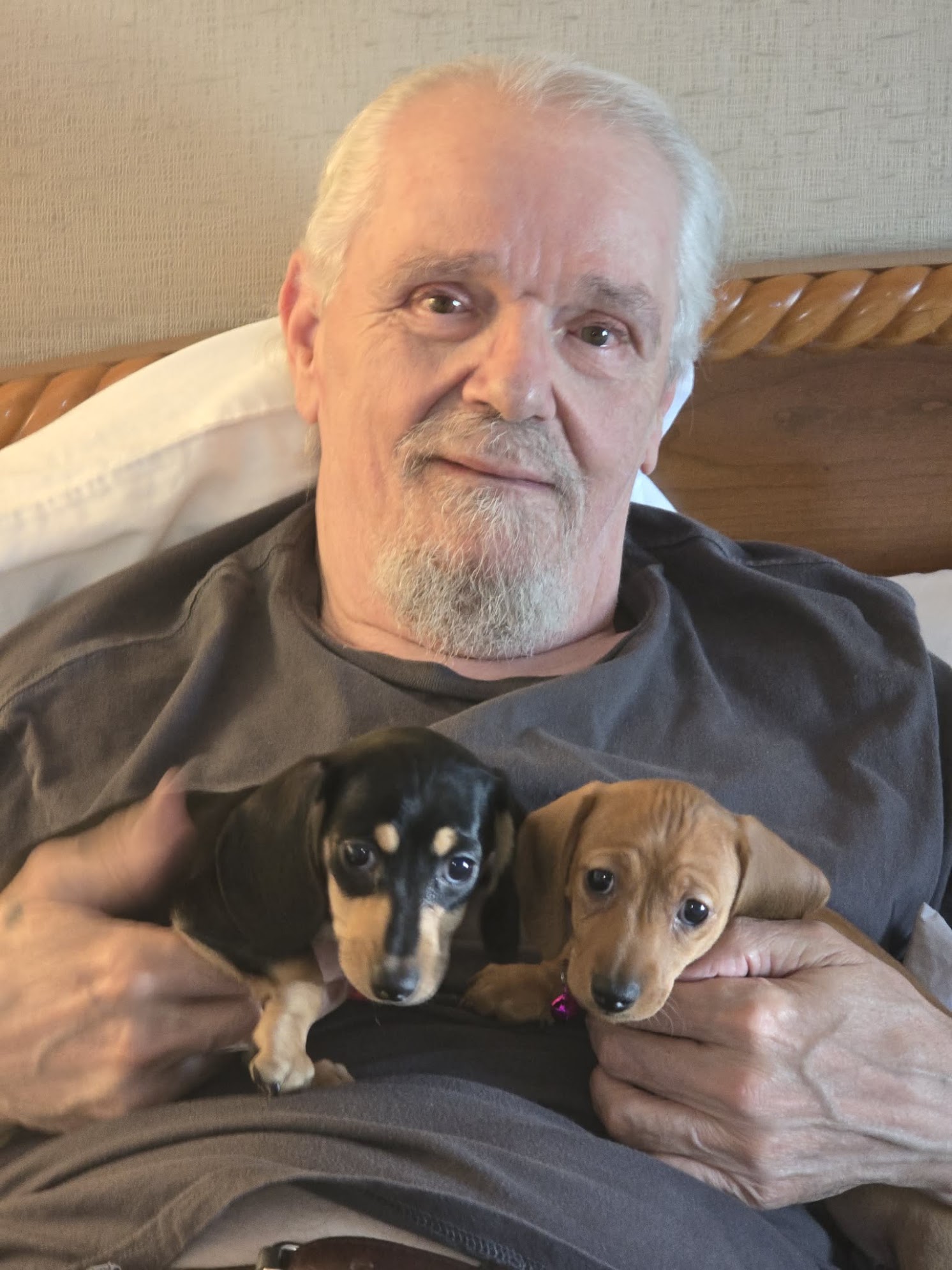 John McNeese — puppy photo 1